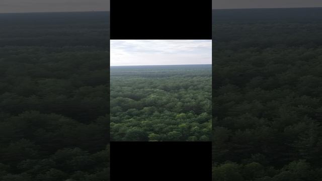 Снял на работе так красиво