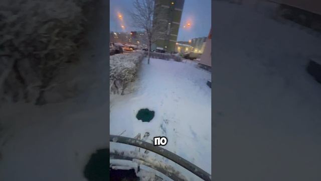Люди-танки, которые любят покороче ) #газон #беспредел