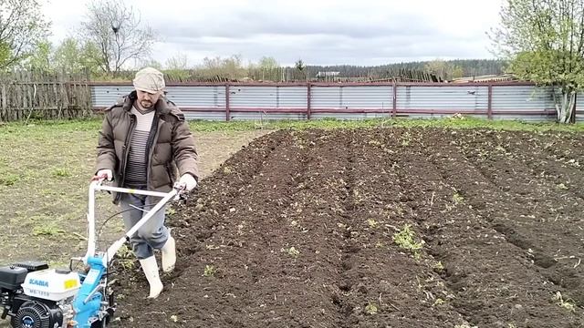 КАРТОШКА ПОД МОТОБЛОК / Деревенька на Урале / Выпуск 21