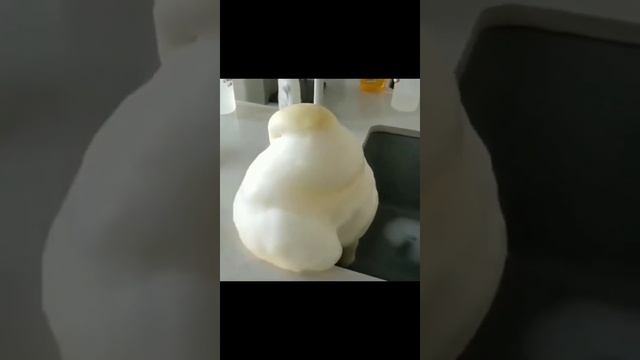 "Elephant Toothpaste Reaction"~~😱⛲🧡 The sodium iodide(KI) reacts with the hydrogen peroxide (H2O2)🍺