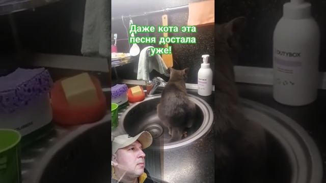 я подарю вам ландыши!