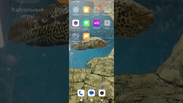 1000001026.mp4