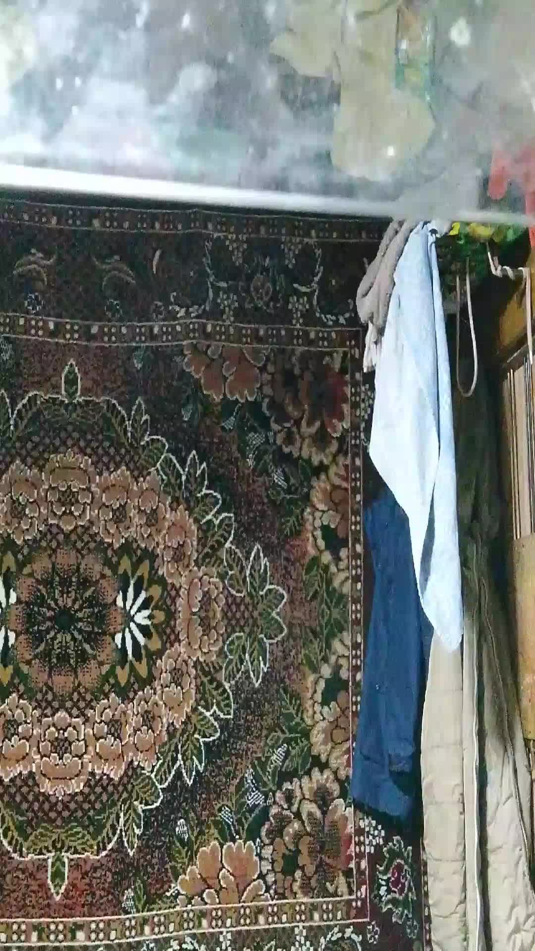 люблю подписчиков