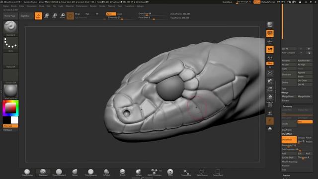 Garden Snake SCULPTING - ZBrushCore SpeedSculpt