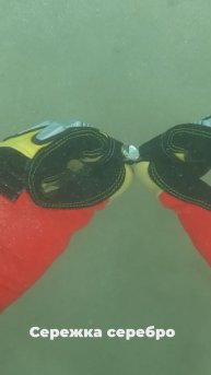 Что можно найти на песчаном пляже с металлоискателем?