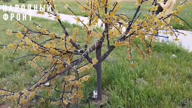 Рейд экспертов Народного фронта по парку г. Черногорск.
