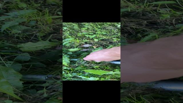 Анкер для крепления батута