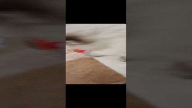 Малыш с машинкой
