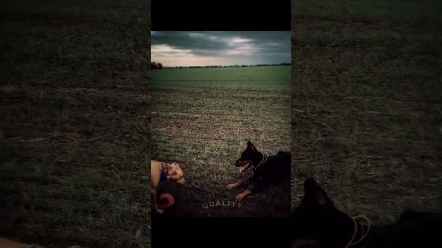 когда хотел кушать но тебе помешали