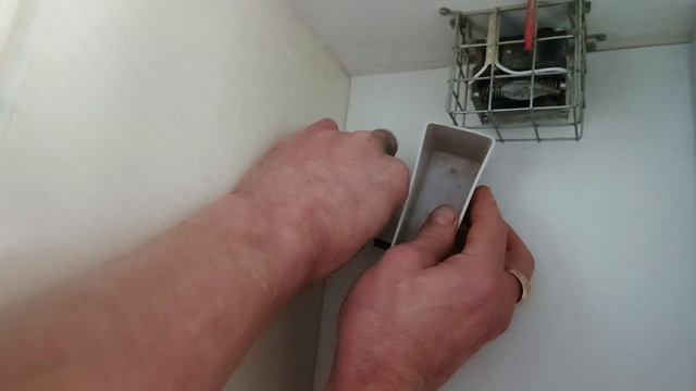 Закладываем перепелиные яйца в инкубатор
