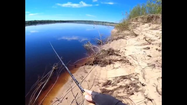 Летний жерешок! Приятная поклёвка! 🎣