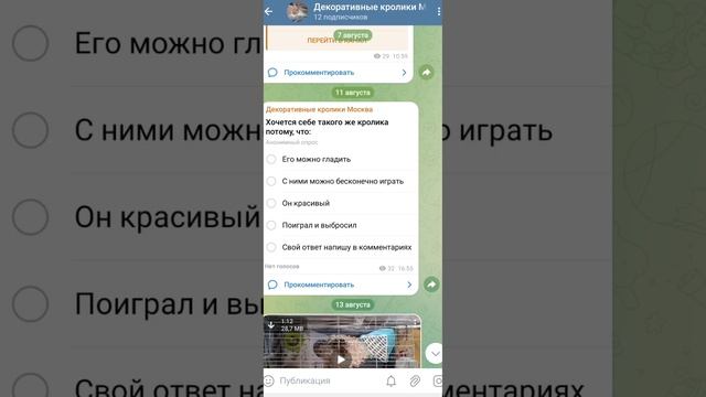 ТГ канал декоративные кролики Чип Дейла Ричик