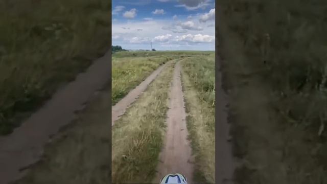 29 июля 2024 г.