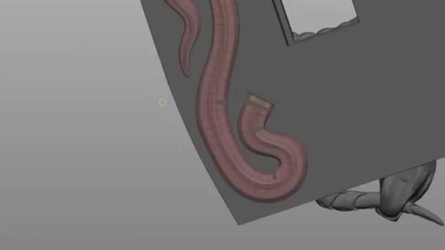 Zbrush modeling, Snake. but sample
