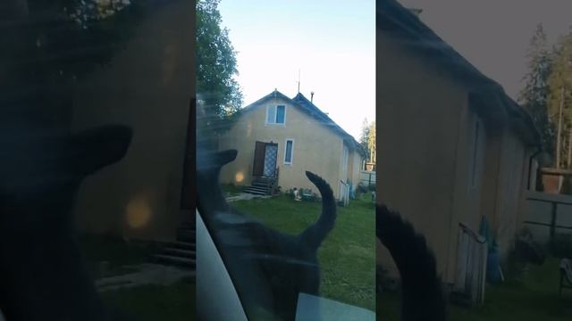 VID-20240613-WA0013.mp4