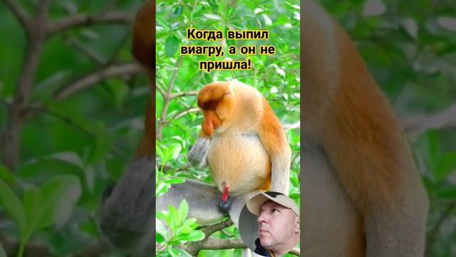 А я так ждал! #юмор #прикол