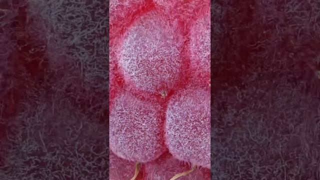 04-01-2025