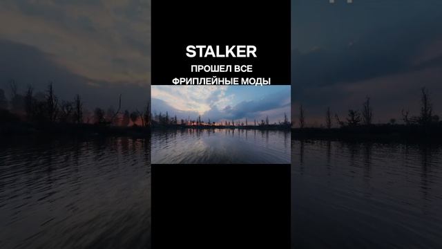 STALKER Какие фриплей моды есть #stalker #stalkergame #stalker2