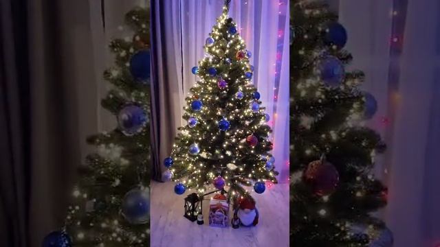 VID-20241224-WA0022.mp4