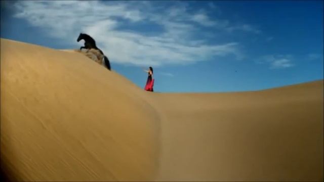 Wise Hand - Safi