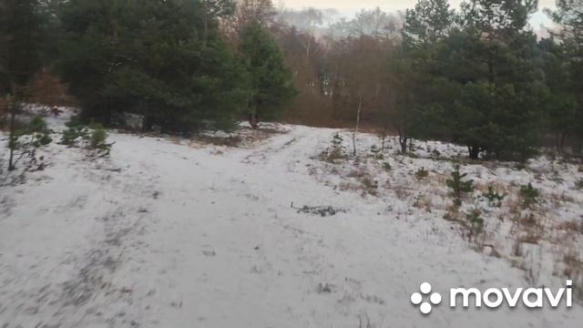 Январский лайт.mp4