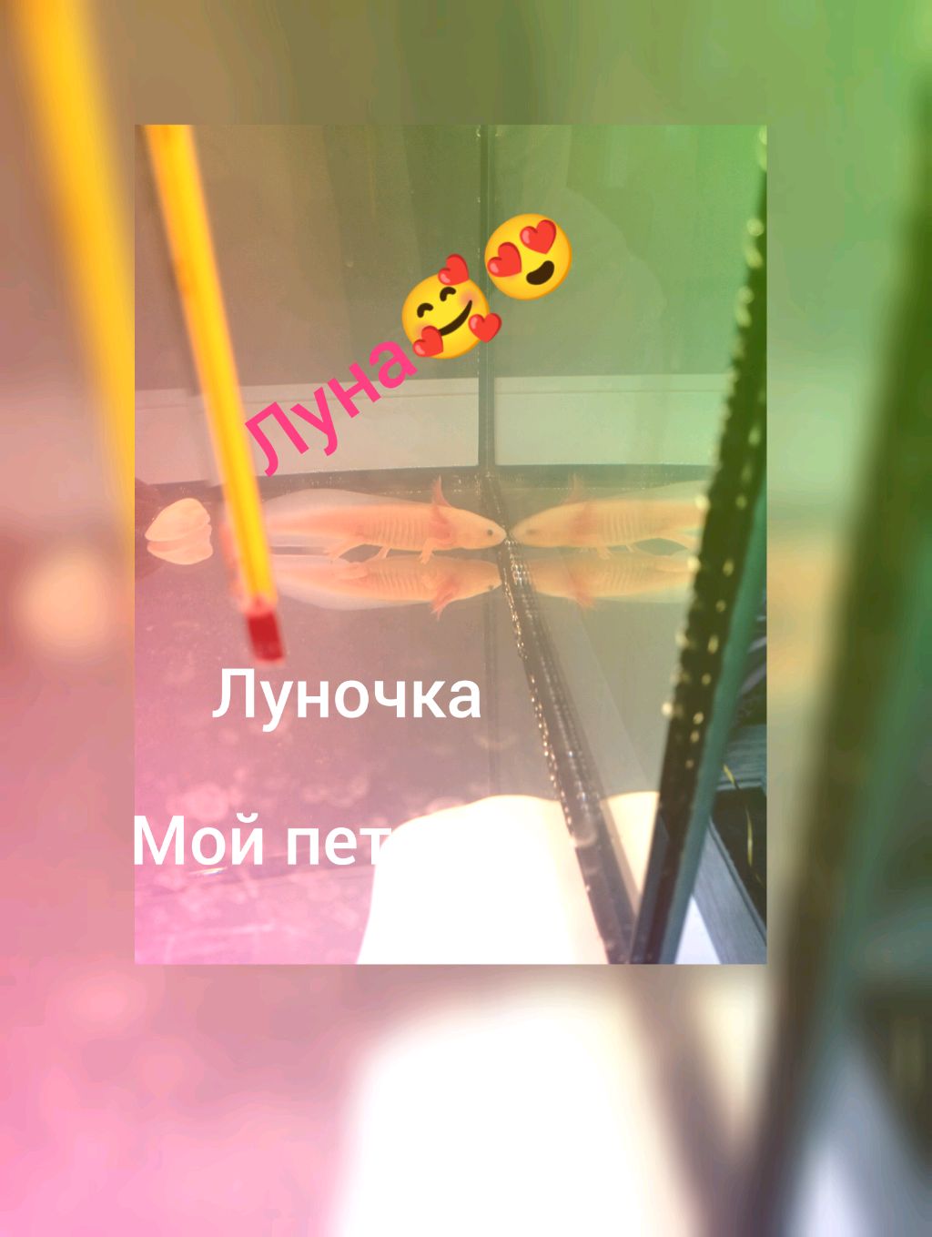 всё на экшене 🤣😂