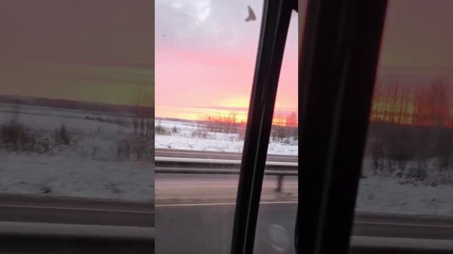 Малиновый закаАаАт
