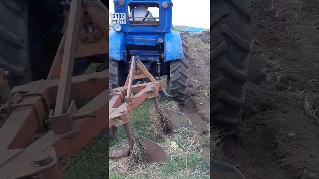 Т-40 пашет огород