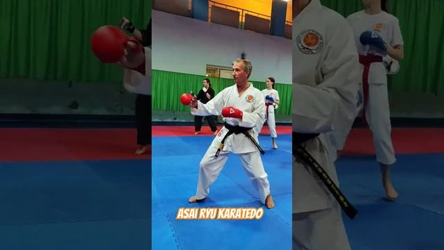 Отработка комбинаций для кумитэ.  #asairyu #karate #каратэ