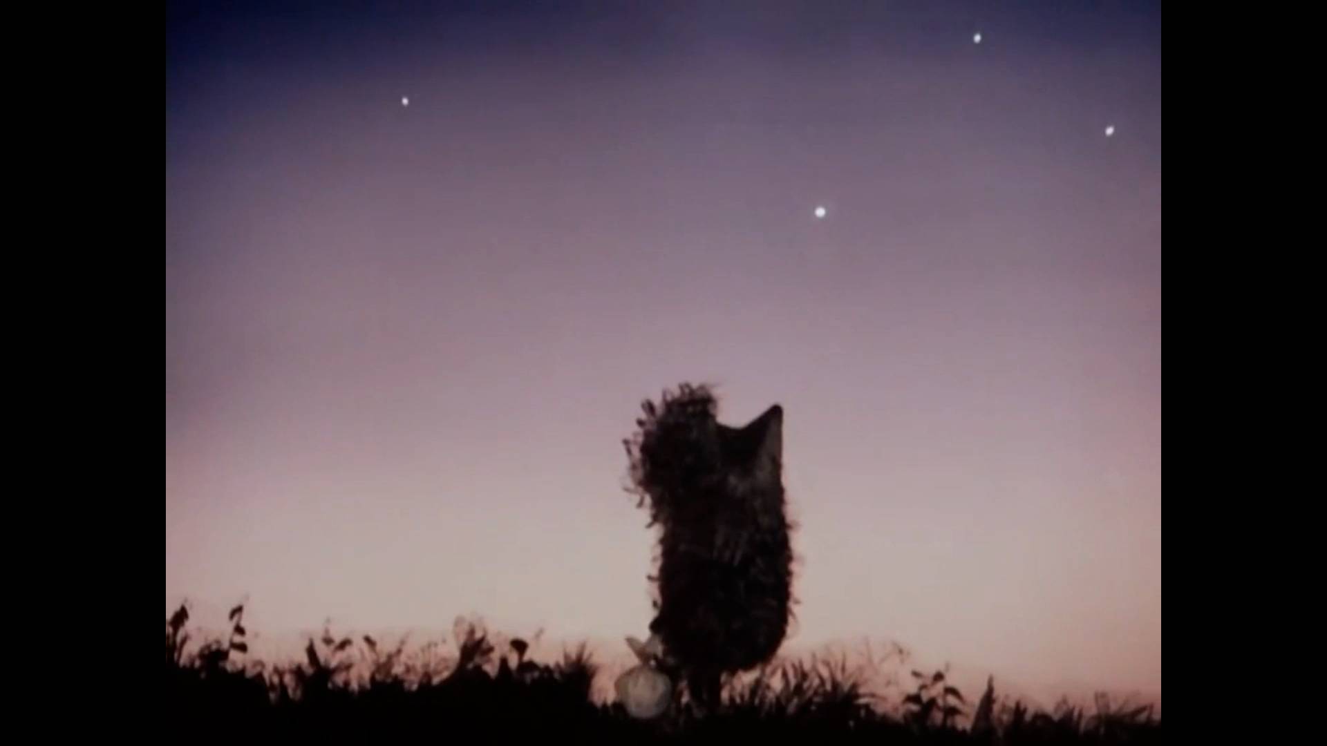 Ёжик в тумане