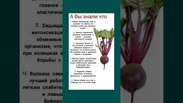 Полезно знать про пользу свеклы #польза #свекла #овощи  #полезнознать #здоровыерецепты