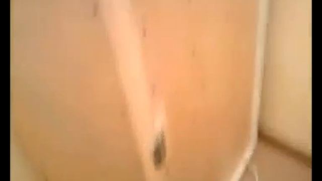 Сушильный шкаф своими руками