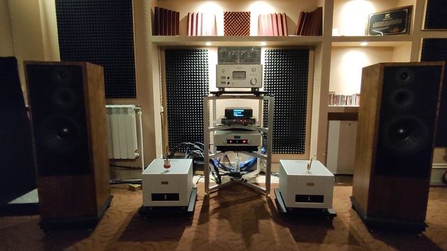 Goldmund Telos 600 (monoblock power amplifier) + Goldmund Mimesis 27.8 (preamplifier DAC)