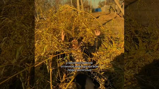 948c8b685caa403cb561a187cdd1499a.mp4