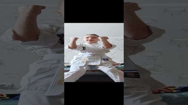Кихон-Каты на 10,9,8 Кю В Каратэ Кёкусинкай