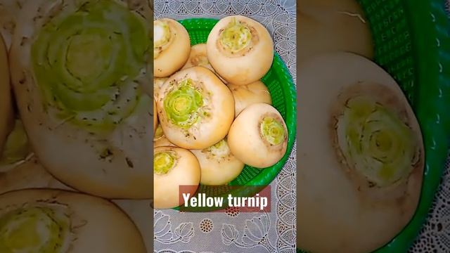 # yellow turnip #shorts #youtubeshortvideo #trending #viral #yellowturnip #shaljam