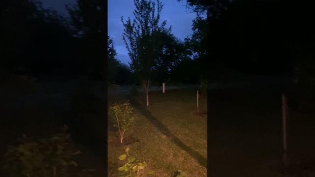 ❗️Давайте, просто, помолчим, послушаем природу!