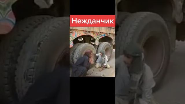 смешно 🧢