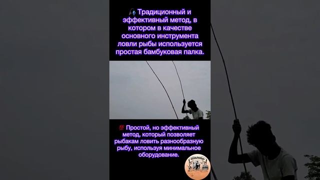 Традиционный и эффективный метод, в котором в качестве основного инструмента ловли рыбы- это бамбук!