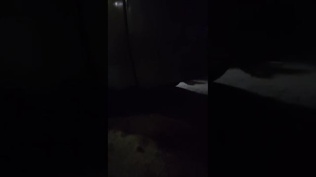 Ваз 2110 в разбор