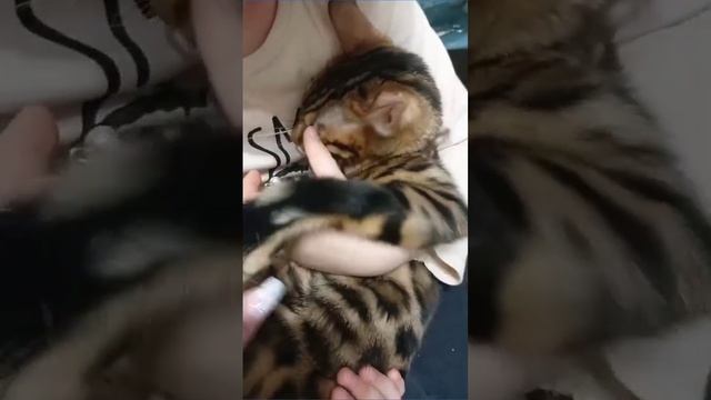 В детских руках