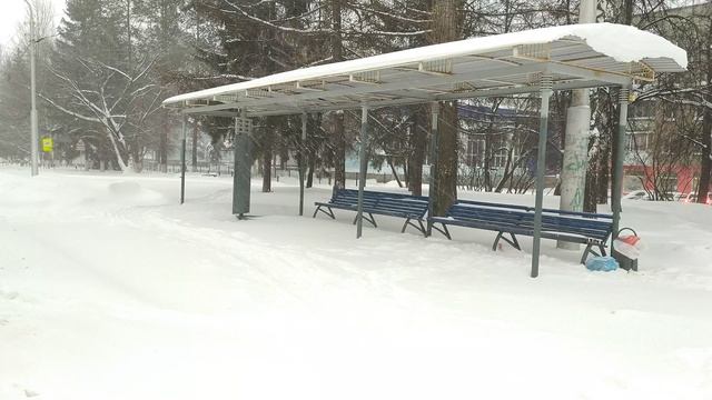 город уфа башкирия 2 января 2025 прогулки по городу. блог уфимца. смотрите .новый год 2025