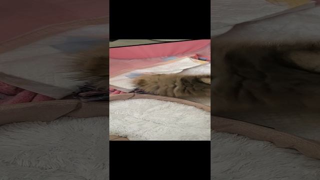 Лилушка