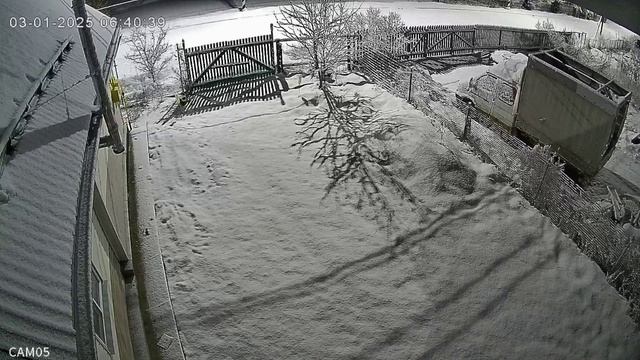 1000055057.avi