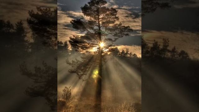 Фәрүәз Камалетдинов - Яратам❤❤💘💘🌹🌹🌹