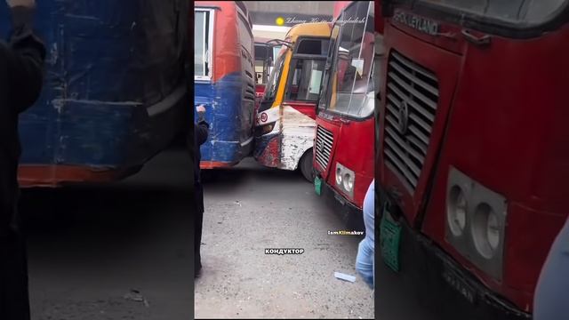 ВСЁ ПРЯМО КАК У НАС  😊