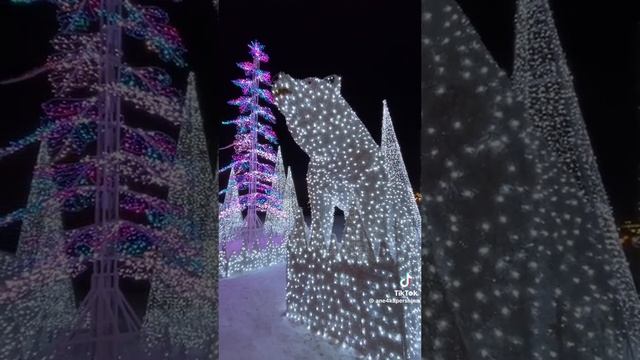 246c301be35beaf16761c11f74881368.mp4 Елена Дружиненко