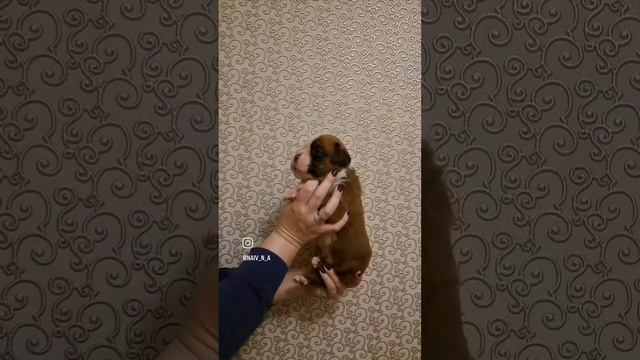 1000095494.mp4