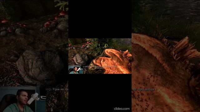 Муравьишки в Skyrim