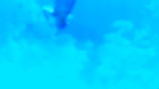 Жизнь научит сама -2